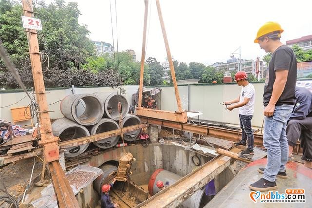 中心城区内河排水口整治火热推进-1.jpg