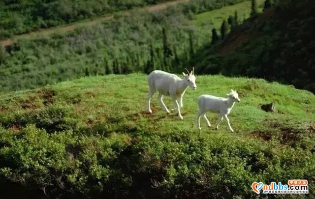 藏不住了！宁德这12个秘境，烧烤、露营、耍水、赏花全都给你！-5.jpg