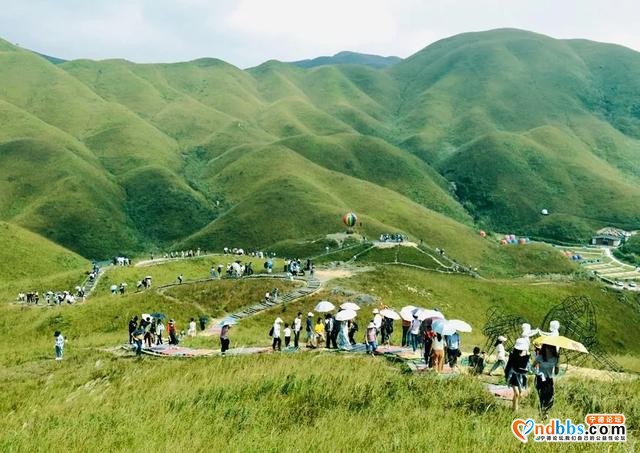 藏不住了！宁德这12个秘境，烧烤、露营、耍水、赏花全都给你！-11.jpg