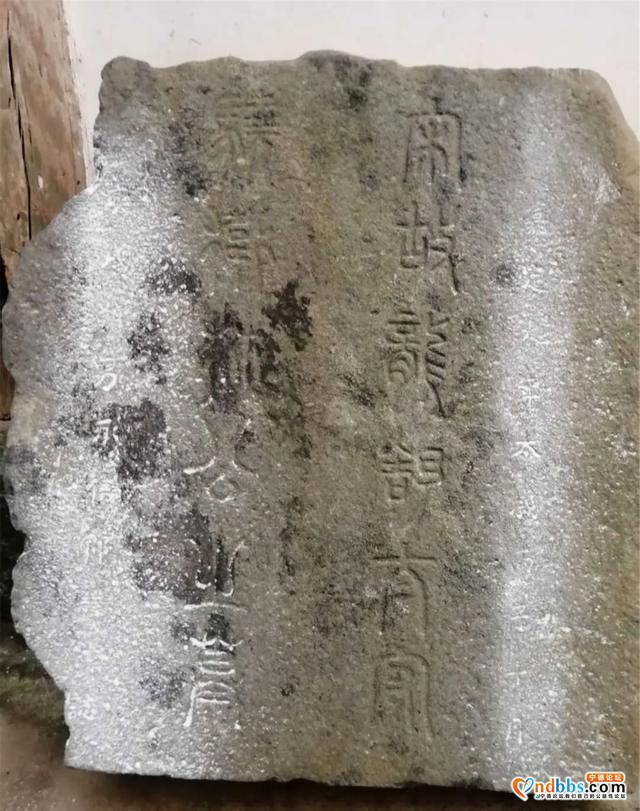 宁德宋代乡贤庆元君子林仲麟墓重见天日-6.jpg