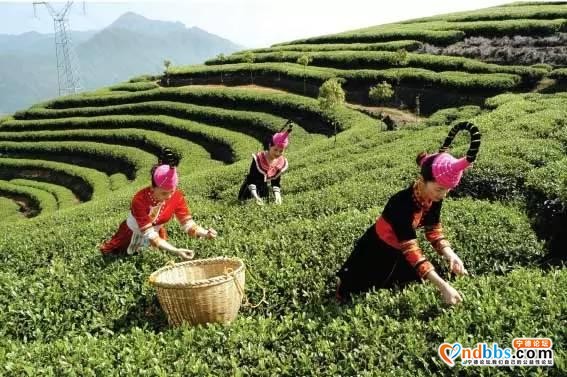 最走心的宁德暑期亲子游胜地攻略，带上宝贝走起！-17.jpg