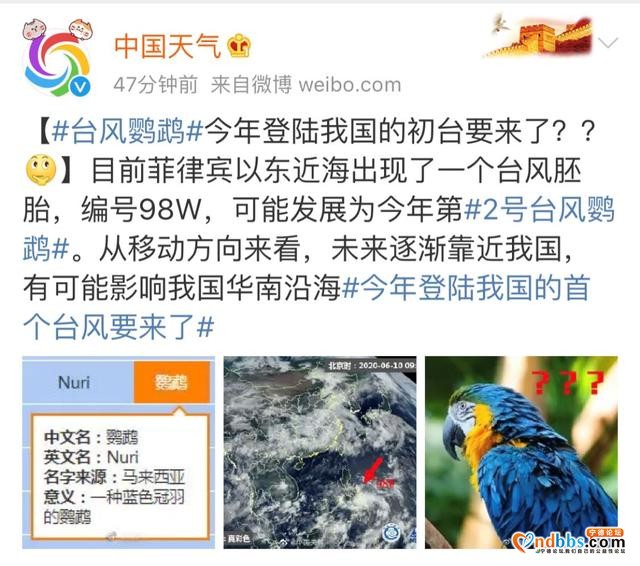 2号台风正在酝酿，或登陆我国-4.jpg