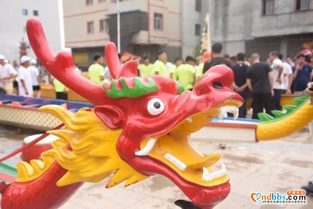 蕉城云淡龙舟竞渡——水上的“速度与激情”-13.jpg