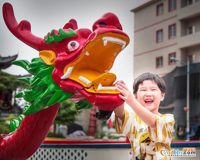 蕉城云淡龙舟竞渡——水上的“速度与激情”-14.jpg