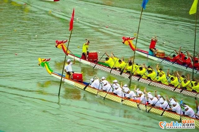 蕉城云淡龙舟竞渡——水上的“速度与激情”-11.jpg