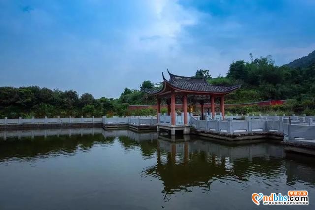 宁德 | 山水画卷旁的水际，带你感受夏日的古雅-10.jpg