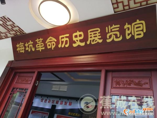 蕉城：省老促会服务老区纪实片摄制组莅蕉拍摄-3.jpg