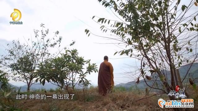 宁德古田：千年临水情之《千年畲村》-10.jpg