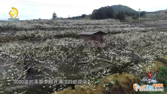 宁德古田：千年临水情之《千年畲村》-29.jpg
