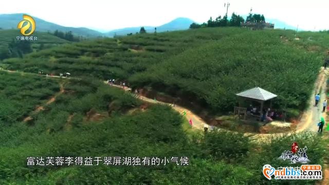 宁德古田：千年临水情之《千年畲村》-32.jpg