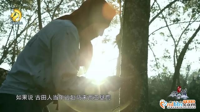 宁德古田：千年临水情之《异国开拓》-1.jpg