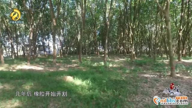 宁德古田：千年临水情之《异国开拓》-5.jpg