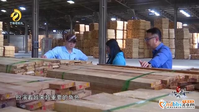 宁德古田：千年临水情之《异国开拓》-22.jpg