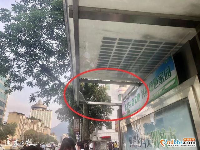 宁德新闻红黑榜?丨终于等到了！“黑榜”转“红榜”！还有这些“黑榜”要努力-3.jpg