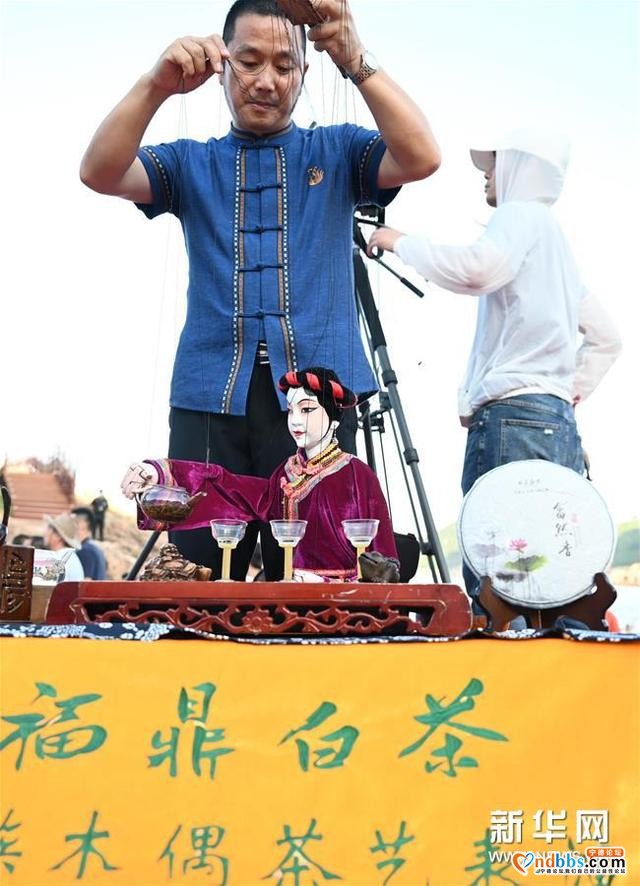 福建宁德：线上+线下“玩转”非遗 创意活动点亮“非遗之美”-4.jpg