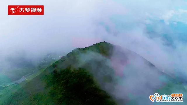 空中新蕉城 | 站在凤凰山顶上眺望，感受夏天的葱葱绿意-3.jpg