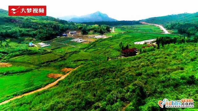 空中新蕉城 | 站在凤凰山顶上眺望，感受夏天的葱葱绿意-2.jpg