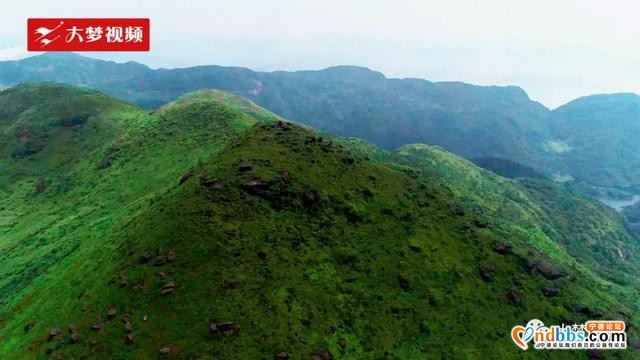 空中新蕉城 | 站在凤凰山顶上眺望，感受夏天的葱葱绿意-6.jpg