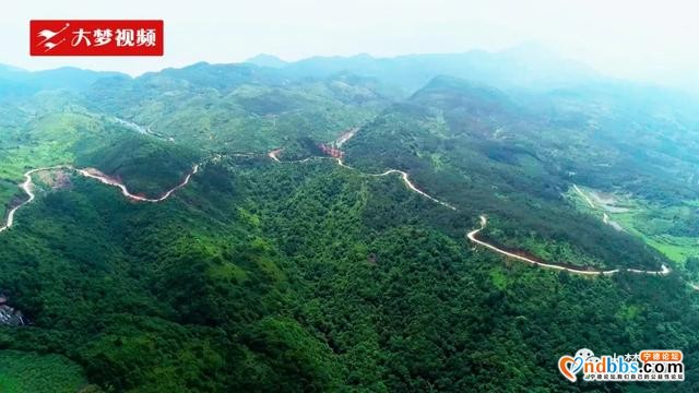 空中新蕉城 | 站在凤凰山顶上眺望，感受夏天的葱葱绿意-5.jpg