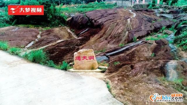 空中新蕉城 | 站在凤凰山顶上眺望，感受夏天的葱葱绿意-11.jpg
