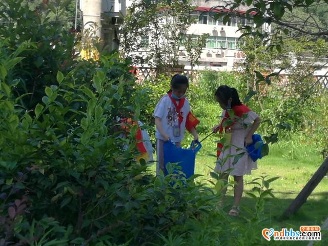 宁德市蕉城区飞鸾中心小学：雷锋精神代代传，携手共抗疫情，长大做先锋--飞鸾中心小学学雷锋活动-6.jpg