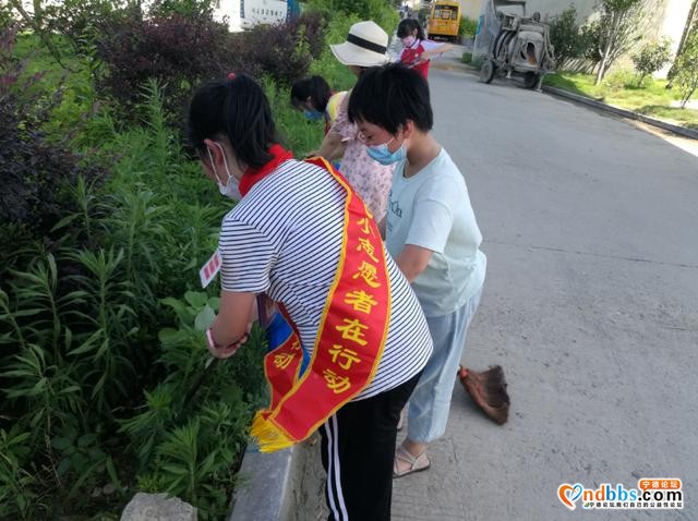宁德市蕉城区飞鸾中心小学：雷锋精神代代传，携手共抗疫情，长大做先锋--飞鸾中心小学学雷锋活动-3.jpg