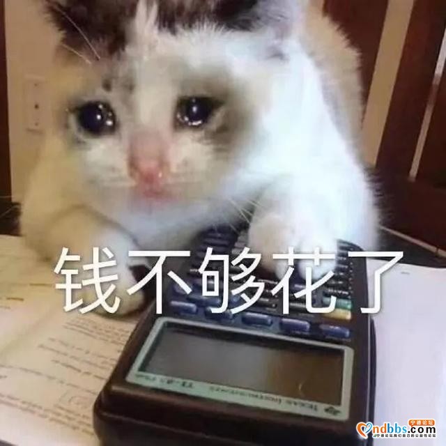 两大夜市即将开放！宁德人今后夜生活更丰富啦-2.jpg