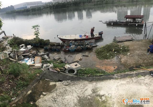宁德东侨：暴雨过后，这群人为我们清出一个干净整洁的东湖-2.jpg