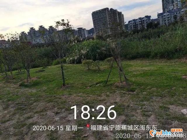 文明宁德随手拍丨服务窗口只留两指宽？改-10.jpg