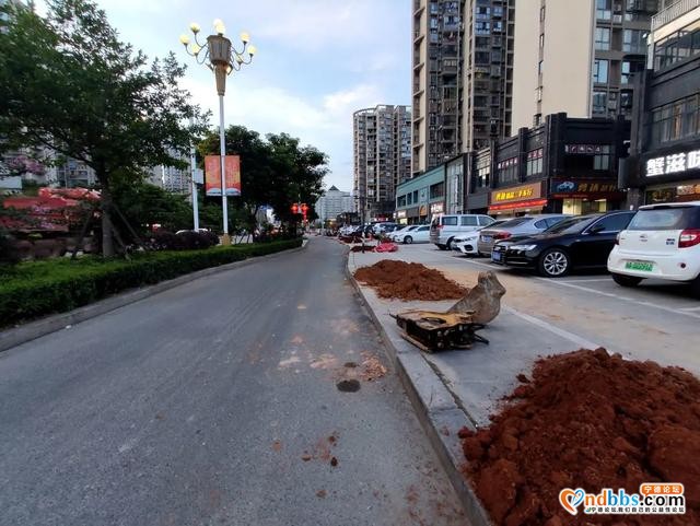 宁德市区多条道路周边花草“不翼而飞”？-2.jpg