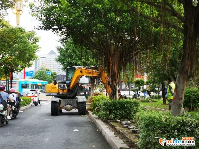 宁德市区多条道路周边花草“不翼而飞”？-1.jpg
