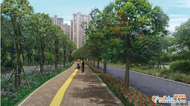 宁德市区多条道路周边花草“不翼而飞”？-16.jpg