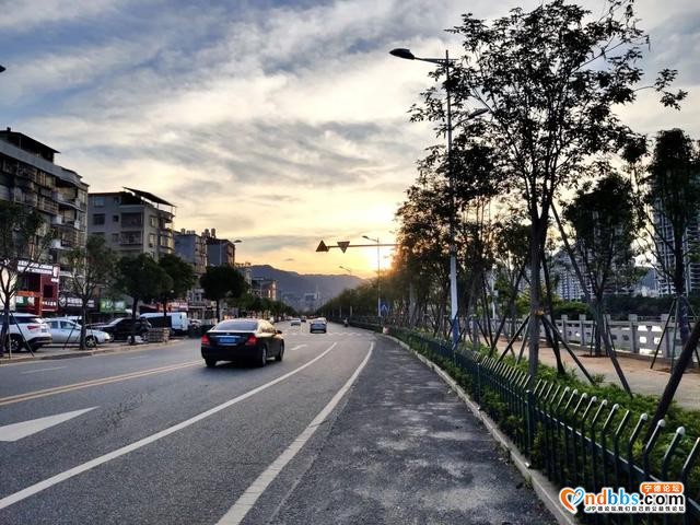 宁德市区多条道路周边花草“不翼而飞”？-17.jpg