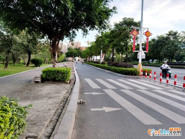 宁德市区多条道路周边花草“不翼而飞”？-19.jpg