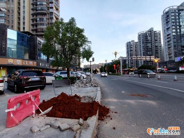 宁德市区多条道路周边花草“不翼而飞”？-20.jpg