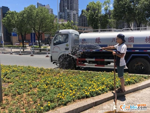 宁德：高温下的辛勤“园丁”-1.jpg
