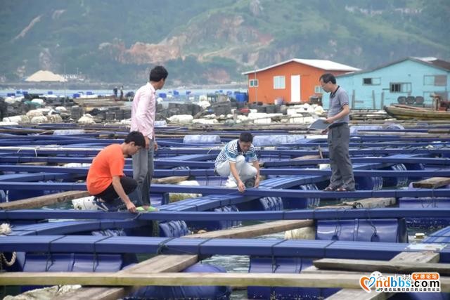 蕉城：海上塑胶渔排进入验收阶段啦！@养殖户们，后顾之忧我们来解决-1.jpg