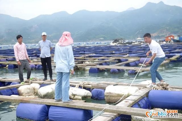 蕉城：海上塑胶渔排进入验收阶段啦！@养殖户们，后顾之忧我们来解决-2.jpg