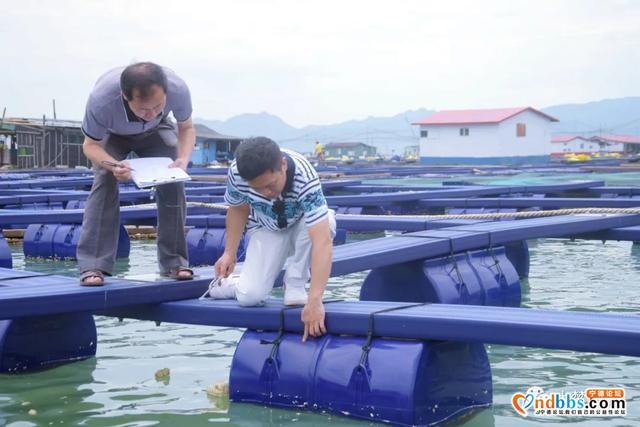 蕉城：海上塑胶渔排进入验收阶段啦！@养殖户们，后顾之忧我们来解决-4.jpg