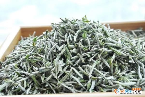 宁德这张名片上了央视新闻，你知道吗？-3.jpg