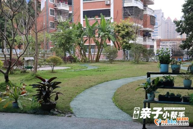 宁德幼儿园2020大盘点！实探蕉城区34家幼儿园（上）-52.jpg
