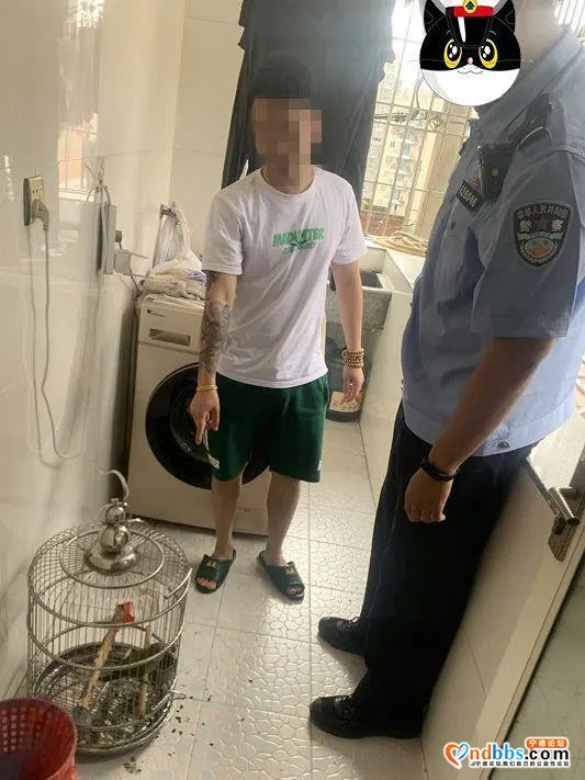 网购“萌宠”需谨慎，福建宁德蕉城三男子饲养鹦鹉被抓-2.jpg