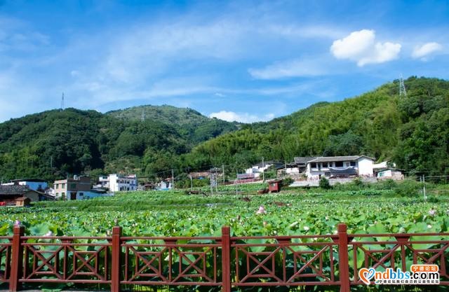 霞浦旅行 | 吴洋村里赏瀑布，清凉一夏好风光-8.jpg