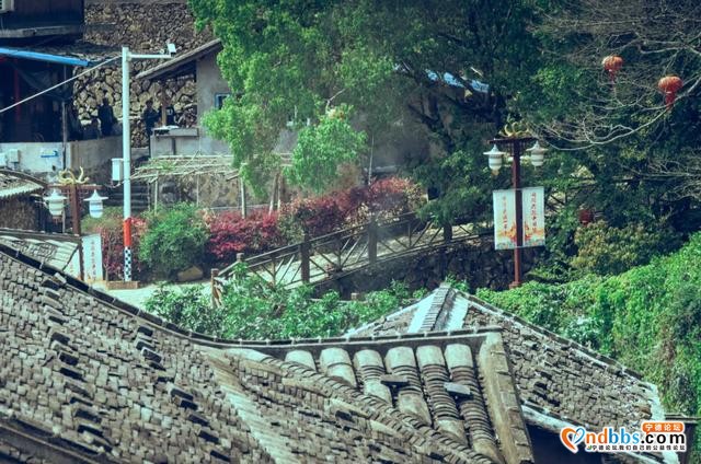霞浦旅行 | 吴洋村里赏瀑布，清凉一夏好风光-6.jpg