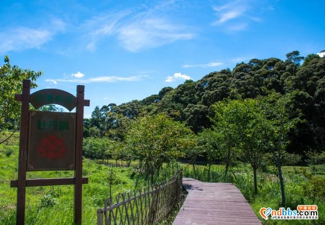 霞浦旅行 | 吴洋村里赏瀑布，清凉一夏好风光-21.jpg