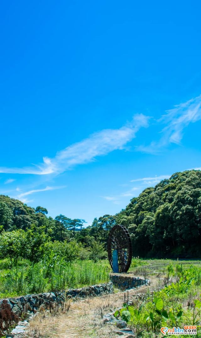 霞浦旅行 | 吴洋村里赏瀑布，清凉一夏好风光-20.jpg