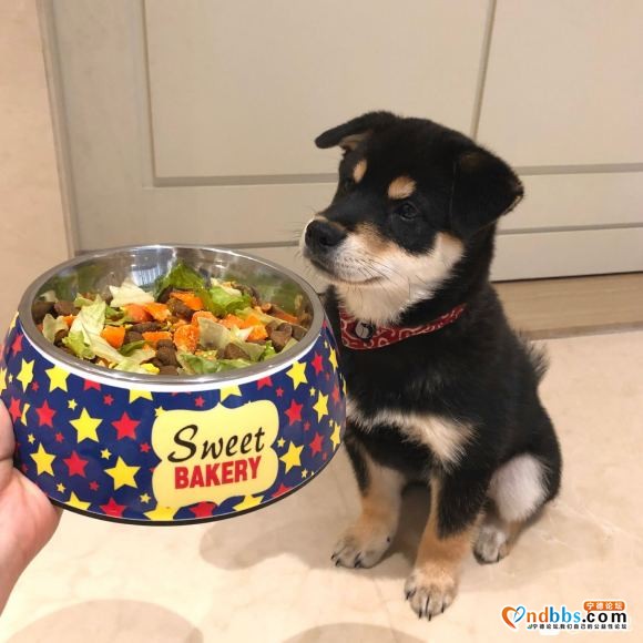 天茂城市广场附近有没有短租房啊 住一个暑假 一个人-1.jpg