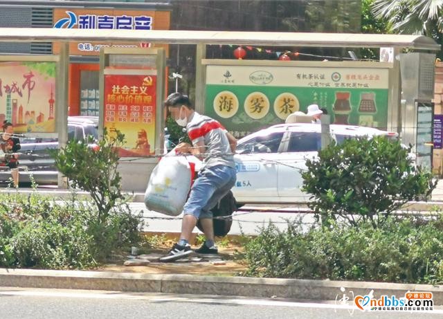 宁德新闻黑榜丨闽东中路绿化带遭破坏 路人横穿马路成常态-4.jpg
