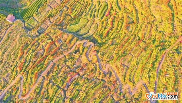 快看！央视科教频道大型纪录片?《中国影像方志》周宁篇-28.jpg