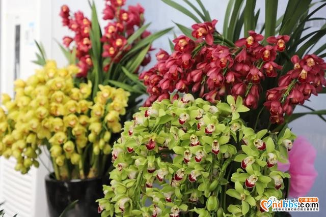 快看！央视科教频道大型纪录片?《中国影像方志》周宁篇-29.jpg